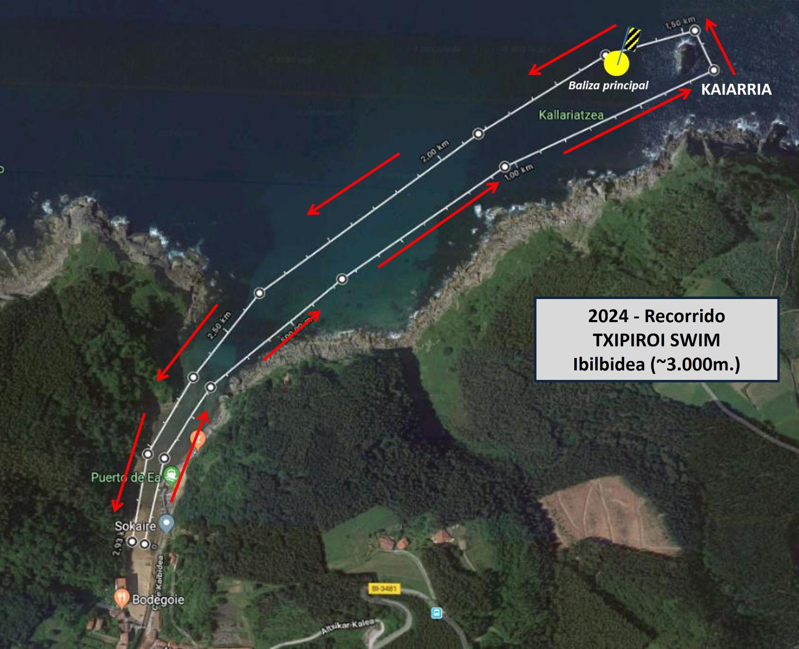 Txipiroi Swim Ibilbidea