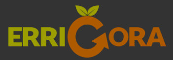 Errigora